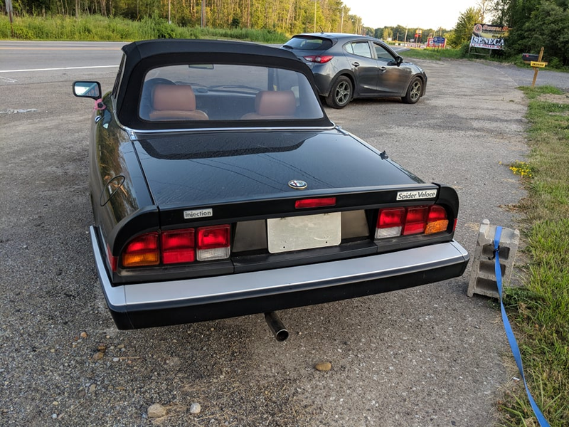 Illustration for article titled 1989 Alfa Romeo Spider Veloce SpottingĀ